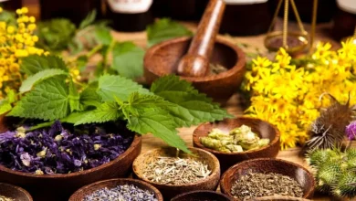 النباتات الطبية: كنز الطبيعة لعلاج الأمراض وتعزيز الصحة بطرق طبيعية وآمنة