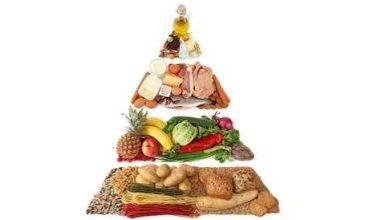 أهم العناصر الغذائية التي يحتاجها الجسم يوميًا أهم العناصر الغذائية التي يحتاجها الجسم يوميًا