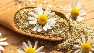 فوائد البابونج