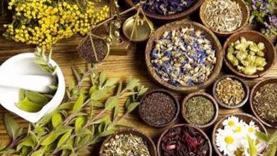 أشهر النباتات التي تدخل في صناعة الأدوية أشهر النباتات التي تدخل في صناعة الأدوية