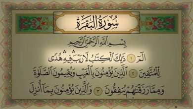 تفسير حلم قراءة سورة البقرة في المنام: دلالات الحماية والبركة في الحياة تفسير حلم قراءة سورة البقرة في المنام: دلالات الحماية والبركة في الحياة